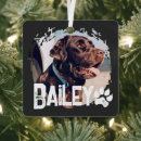 Search for holiday pet memorial christmas tree decorations Remembrance memento keepsake