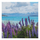 Search for shores posters Nature