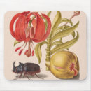 Search for pomegranate computer accessories Fruit