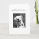 Search for mixed breed dog cards Dogs