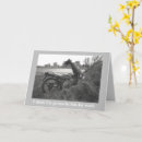 Search for accident cards Photography
