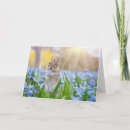 Search for chipmunks cards Flowers