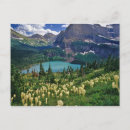 Search for beargrass Nobody