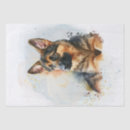 Search for german shepherd tissue paper Animal