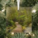 Search for new zealand christmas tree decorations Fern