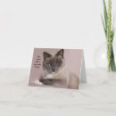 Search for siamese cat birthday cards Funny