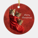 Search for stocking christmas tree decorations Stylish