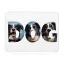 Search for outing rectangular magnets Cute