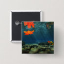Search for falling water badges Autumn