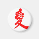 Search for kanji magnets Chinese