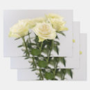 Search for photographer wrapping paper Flowers