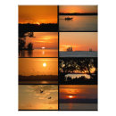 Search for bright sun posters Colours