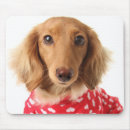 Search for pyjamas mousepads Costume