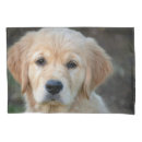 Search for golden retriever pillowcases Puppy