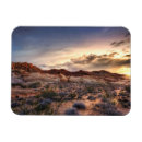 Search for mojave desert magnets Nature