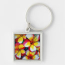 Search for frangipani key rings Floral