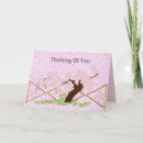 Search for flowering cherry tree cards Blossoms