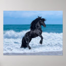 Search for black friesian horse posters Stallion