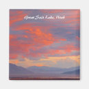 Search for salt square magnets Landscape