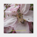 Search for pollen magnets Flower