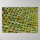 Search for shingle posters Roof