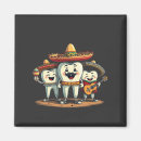 Search for cinco de mayo magnets Mexican fiesta