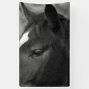 Search for profile crafts party Equine