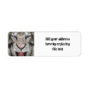 Search for big cat return address labels Wild animal
