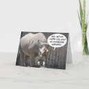Search for rhinoceroses Rhinos