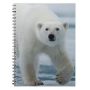 Search for adult notebooks Animal