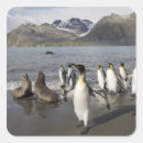Search for antarctica stickers Iceberg