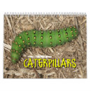 Search for moth calendars Insect