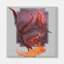 Search for epic magnets Dragon