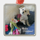 Search for morkie christmas tree decorations Dog