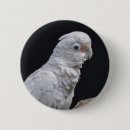 Search for cockatoo badges Pet