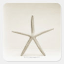 Search for star fish stickers Animal