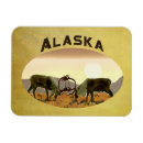 Search for buckskin magnets Brown