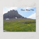 Search for clemente postcards Nature