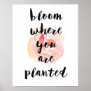 Search for bloom where you are planted posters Floral