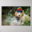 Search for puppy posters Photography