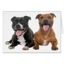 Search for pitbull cards Puppy