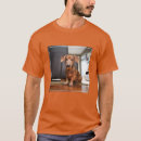 Search for miniature dachshund clothing Cute