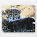 Search for cheetah cat mousepads Floral