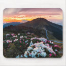 Search for rhododendron electronics Nature