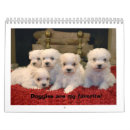 Search for maltese calendars Animals