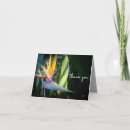 Search for tropical plants cards Flower