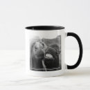 Search for horse smiling mugs Happy
