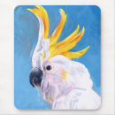 Search for exotic electronics Cockatoo