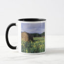 Search for rural scenes mugs Countryside