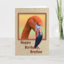 Search for bird birthday cards Pink